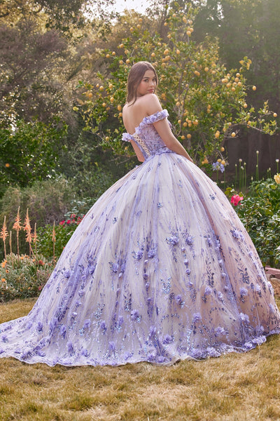 Cinderella Divine 15704