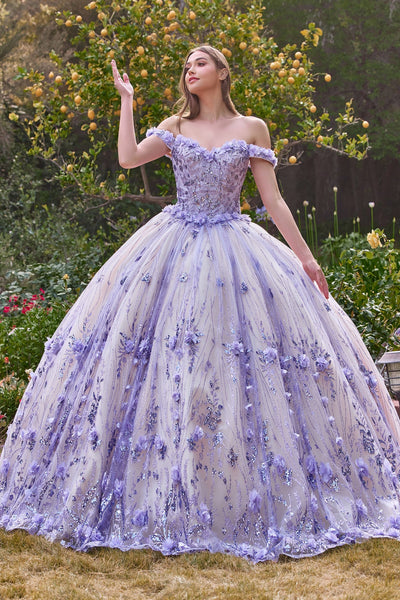 Cinderella Divine 15704